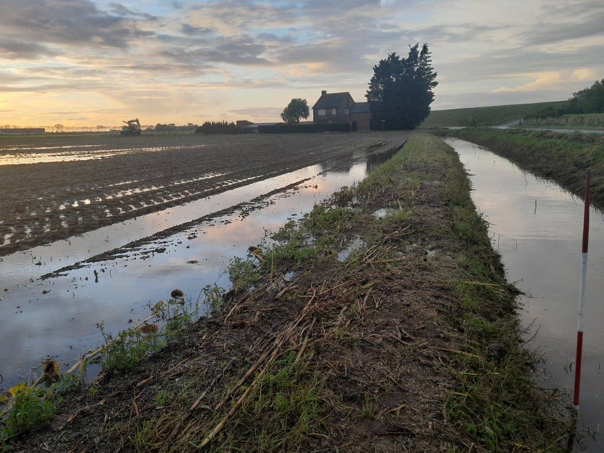 .<a href="/waterschap/">Scheldestromen</a> #scheldestromen in de <a href="/provzeeland/">Provincie Zeeland</a> . Wanneer jullie proeven doen met landbouwgrond onder water te zetten in #Biervliet. Dan graag eerst de boer informeren en uitkopen. 2 wkn geleden eindelijk gemaaid en schuiven op winterpijl. Nu weer blank na 16 mm vannacht. 🤷‍♂️😭🤔