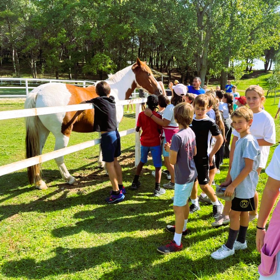 Escolapios Pozuelo tweet media