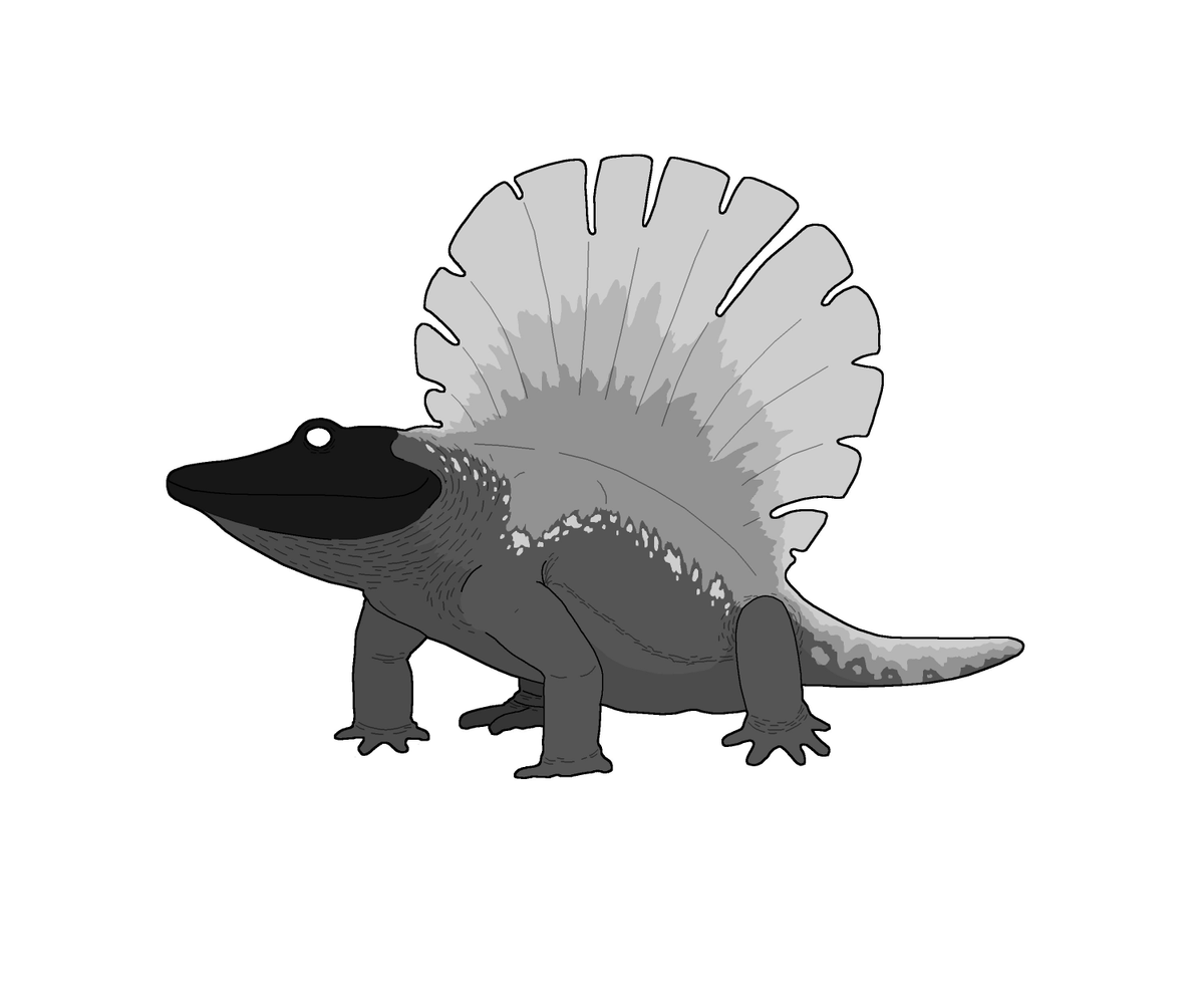 BatmanelVisigodo tweet media