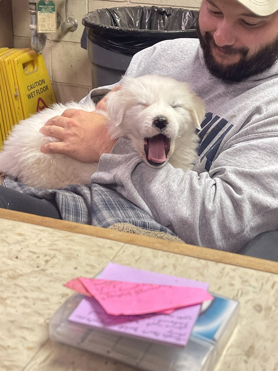 Morning’s are ruff🐶 our new little friend will help us get through any task today😁🌤️