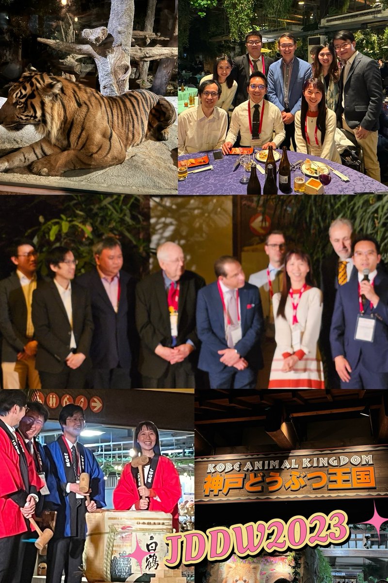 Grace Wong (@wonglaihung) on Twitter photo What a wonderful gala dinner of #JDDW2023 😃😃😃😃
#Tiger🐯🐯 #Sake 🍶🍶<a href="/CUHKMedicine/">CUHK Medicine</a> <a href="/CUHKGI/">CUHK Gastroenterology & Hepatology</a> <a href="/Raymond_SY_Tang/">Raymond Tang</a> <a href="/LouisHSLau/">Louis Lau</a> <a href="/MarcWong_HK/">Marc Wong</a> <a href="/AASLDFoundation/">AASLD Foundation</a> <a href="/calvinpan/">calvin pan</a> What a wonderful gala dinner of #JDDW2023 😃😃😃😃
#Tiger🐯🐯 #Sake 🍶🍶<a href="/CUHKMedicine/">CUHK Medicine</a> <a href="/CUHKGI/">CUHK Gastroenterology & Hepatology</a> <a href="/Raymond_SY_Tang/">Raymond Tang</a> <a href="/LouisHSLau/">Louis Lau</a> <a href="/MarcWong_HK/">Marc Wong</a> <a href="/AASLDFoundation/">AASLD Foundation</a> <a href="/calvinpan/">calvin pan</a>