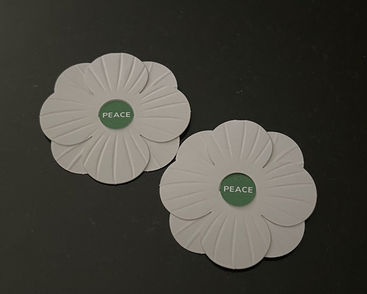 #Peace 

WHITE POPPY - PEACE 

As a #RefugeeLawyer the horrors of war are woven through the narratives of a multitude of my #Refugee clients.

For many years, as a Pacifist, I wear a #WhitePoppy 

TODAY : I CALL FOR PEACE FOR ALL

#PeaceForAll #Israel #Gaza #Sudan #PeaceNotWar…