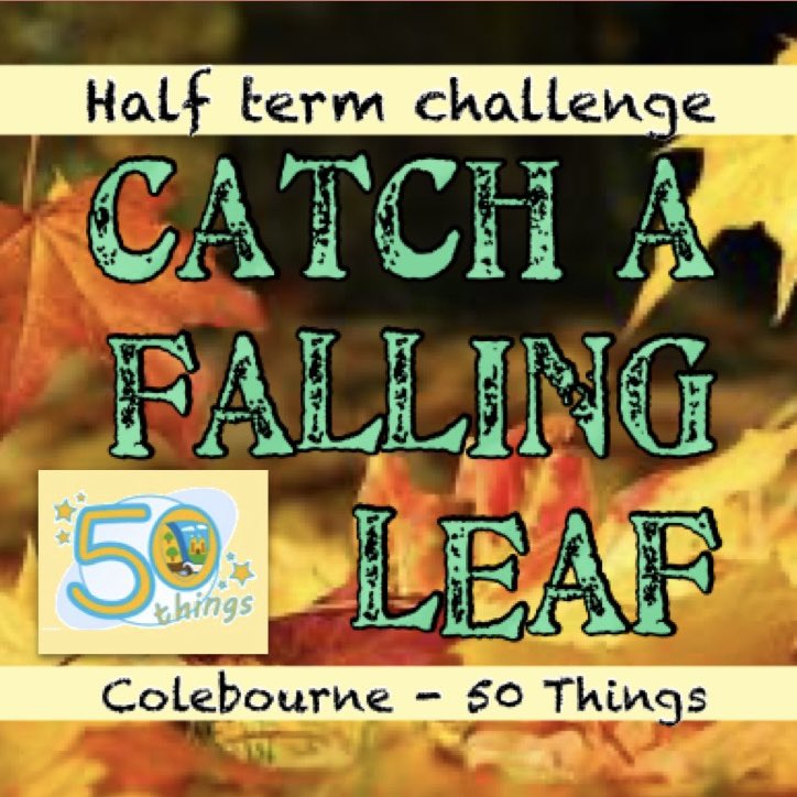 Colebourne Primary School tweet media