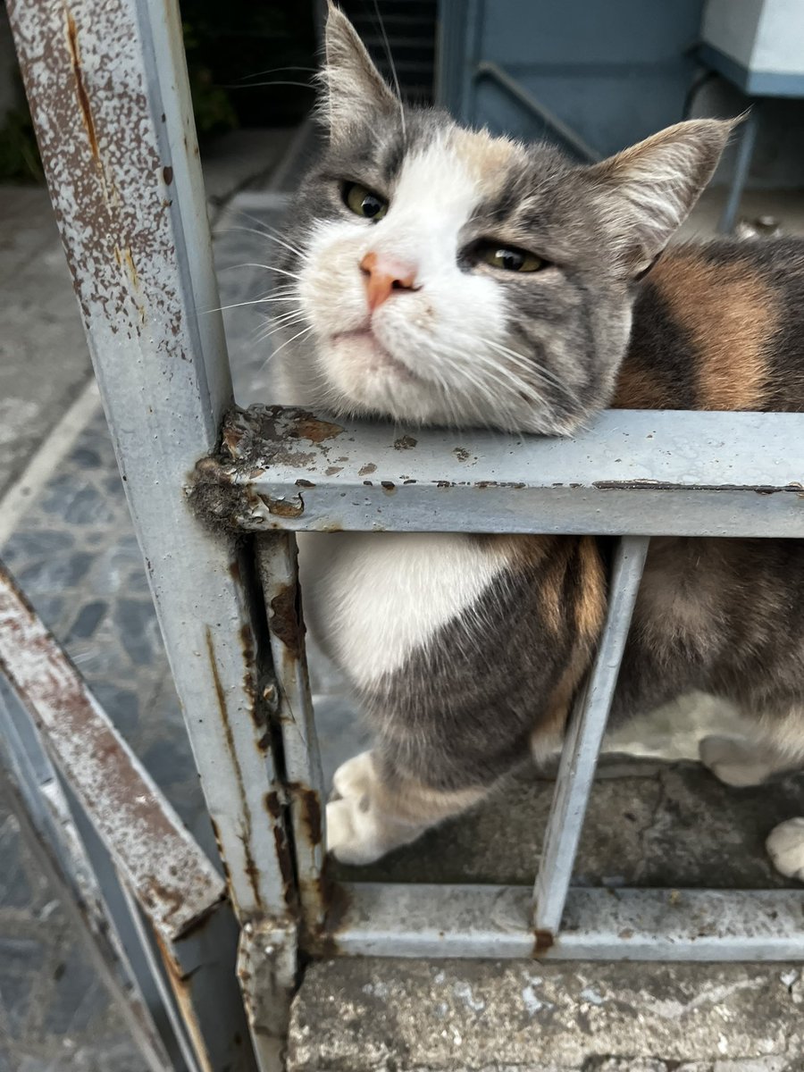 pinaryuzgecc's tweet photo. Rastgele bir fotoğraf ya da kasımda her şey yanlış gidecek https://t.co/9biem34mym