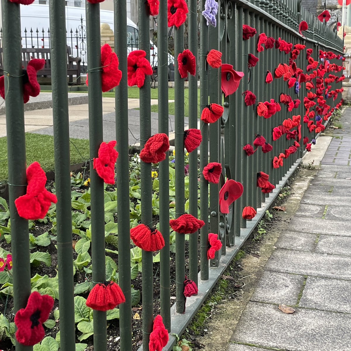 Volunteers from the museum @NewtAbbMuseum the town council and local Royal British Legion @britishlegion 

have decorated the war memorial in Newton Abbot, Devon with 800 hand-knitted poppies 

#FlowersOnFriday #RemembranceDay #newtonabbot #knitting