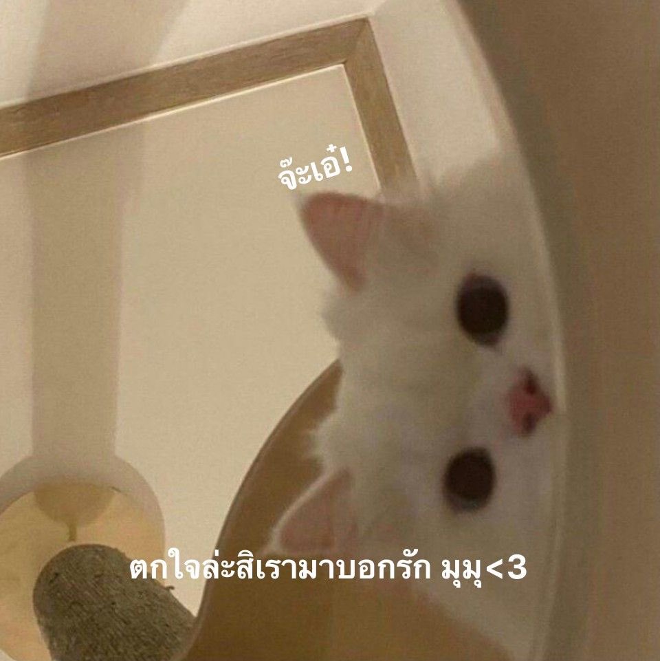 จ๊ะเอ๋