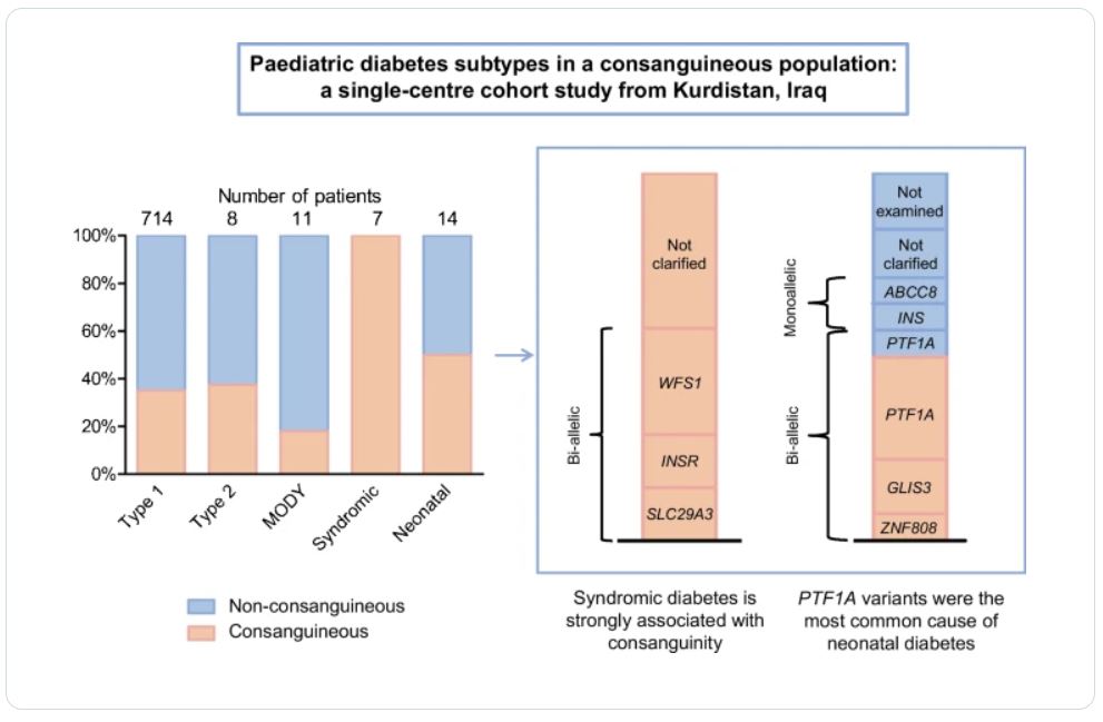 This single-centre cohort study from Kurdistan, Iraq, provides an interesting outlook on paediatric diabetes subtypes in a consanguineous population <a href="/shenali_a/">Shenali</a> <a href="/2LFUK/">2. lékařská fakulta Univerzity Karlovy</a> #paediatricdiabetes #consanguinity tinyurl.com/2j553cjr🔓