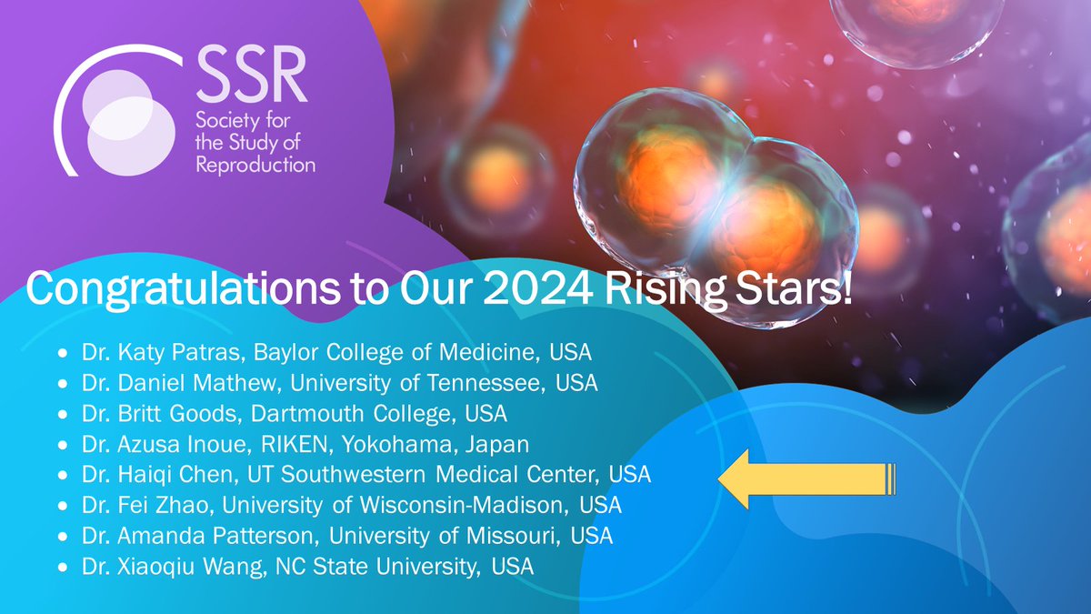 A BIG Congratulations to our 2024 Rising Stars! ⭐ See who was selected and stay tuned for our Rising Stars Webinar Series coming in January 2024! 🤩
