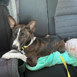 Keith Olbermann tweet media