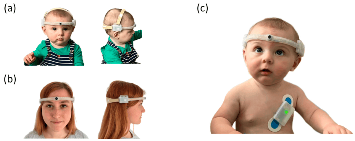 York Developmental Social Neuroscience Lab tweet media