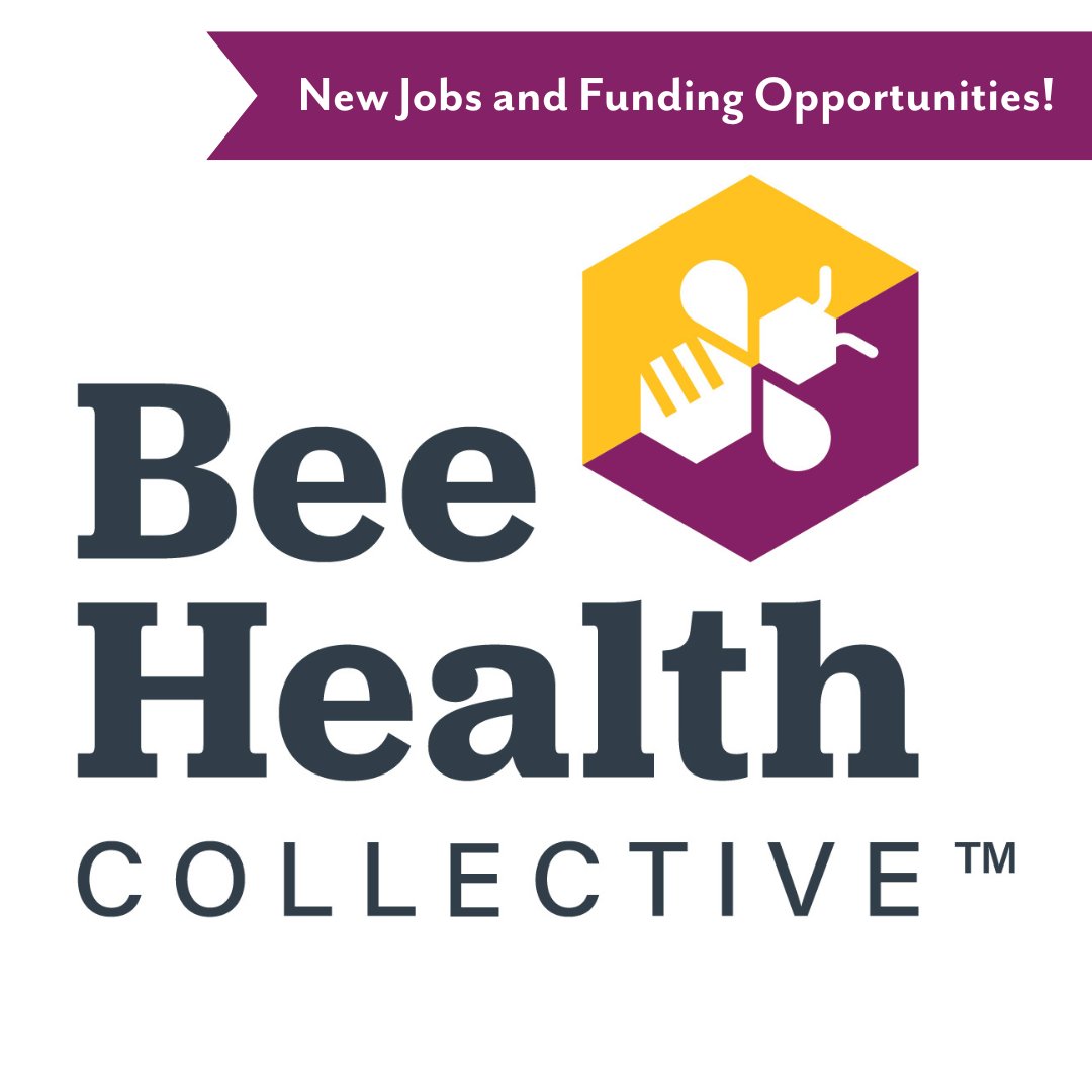 The USDA is currently looking for a Research Agricultural Economist to conduct research on pollinators!

Apply by November 14th! 

loom.ly/pu0aDow

 #projectapism #beeresearch #honeybee #beekeeping #research