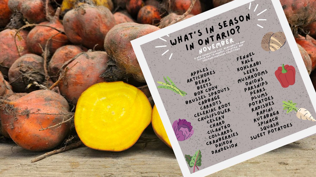 pfenningsfarm's tweet image. Harvest season may be coming to an end, but local food is still plentiful! November has arrived and it&apos;s time again for #FindLocalFriday. Keep your eyes peeled for hearty veggies ready to fill you with nutrition and warmth!  

#SupportLocal #GrowingOrganic