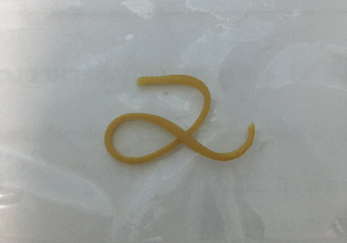 มี่ไทยมี่แรกค่ะ ที่มีเมิชน้องจองกุก