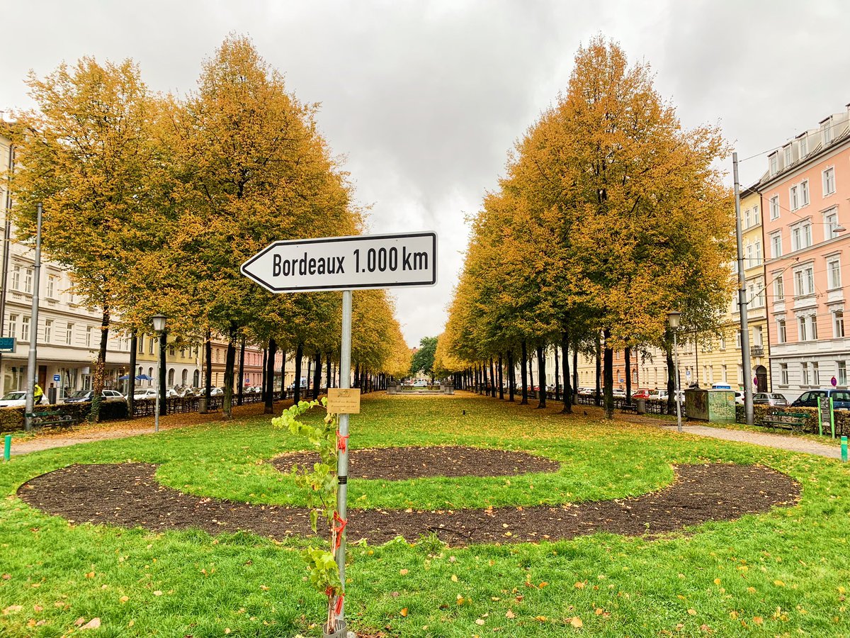 lailabiali's tweet image. Made it to Munich! ☔️ 

Can’t wait to play a double bill tonight at Jazzclub Unterfahrt with the brilliant saxophonist and @act_music labelmate @ESzczerbo. 

🎫: bit.ly/ACTNightUnterf…

#munich #jazzclubunterfahrt #actmusic