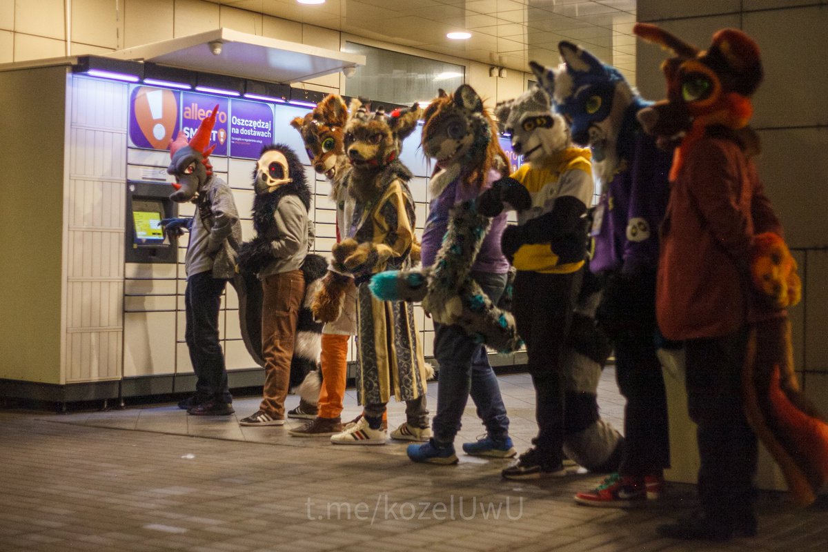 Furror 2023 in Łódź (photo by me) <a href="/InPostPL/">Paczkomat, Kurier</a> #furry #furryfandom #inpost #FursuitFriday