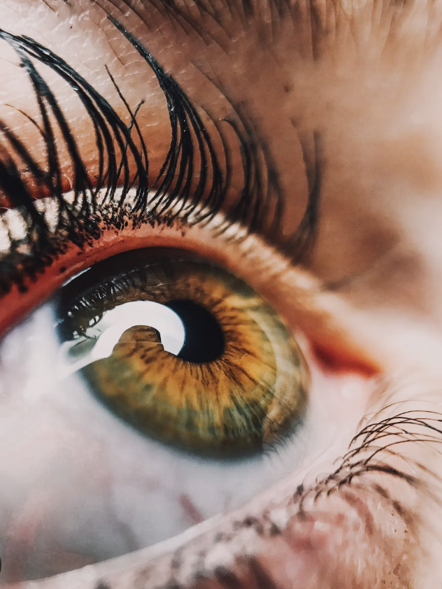 antoniairaola19's tweet photo. "Part company with preconceived notions, suppress your leaning to reiterate and to know in advance of your seeing, try to see the world for the first time with eyes not dimmed by memory or volition" (Heschel 5)
#Philosophy #Eyes #Preconceivednotions https://t.co/LuBEHHPffq