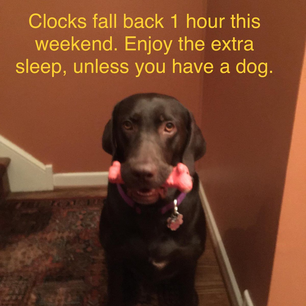 CrowsFeetBlog's tweet image. 