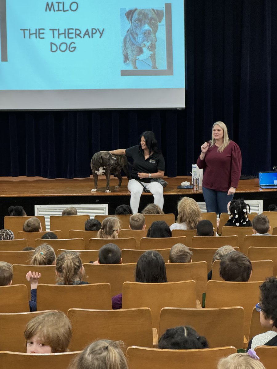 We're so excited to be working with Alliance of Therapy Dogs to have new listeners for our students to read to. Today, kids got to see and learn more about Milo and therapy dogs. <a href="/TeamDDTwo/">Dorchester School District Two</a>