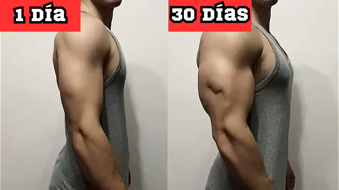 Señor Músculo | Musculación tweet media