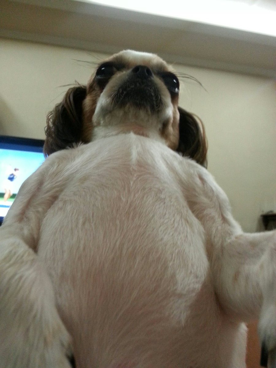 스즈키오빠들컴백할때까지이렇게기다리고있어야지