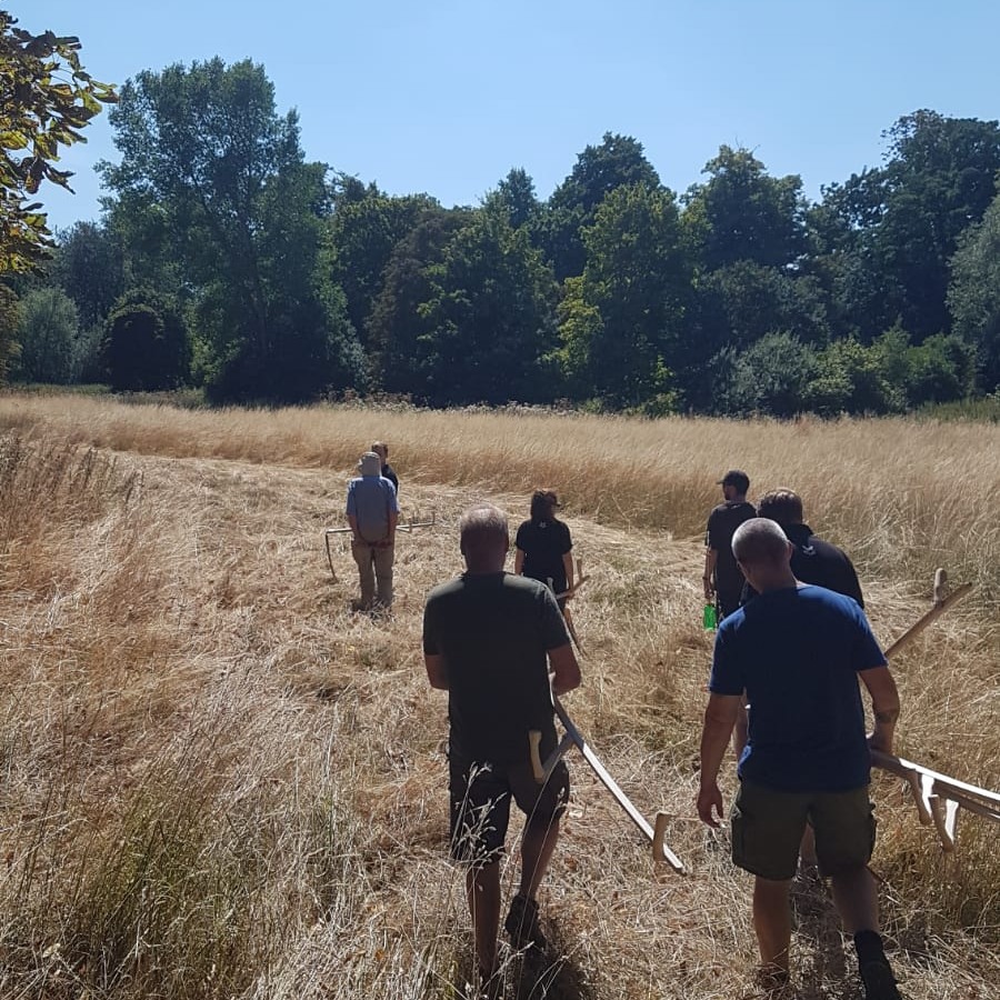 MordenHallPkNT's tweet photo. Happy International Volunteer Managers Day!🎉
A big shout out to Morden Hall Park #volunteermanagers for leading and inspiring our incredible volunteers, and together caring for the places you love! ❤
#IVMDay23 #IVMDay #ThankYou https://t.co/o9s439YwZX