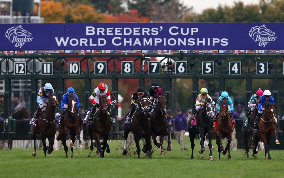 NFasTrace's tweet photo. 🌄 GM from Breeders' Cup Day! 🏇✨

Embrace the dawn with the spirit of champions and the thundering hooves of Breeders' Cup horses. Today, the racetrack comes alive with dreams of victory, where legends are born!🌅🐎

#NFasT #BreedersCup #HorseRacing #RaceToVictory #FridayVibes
