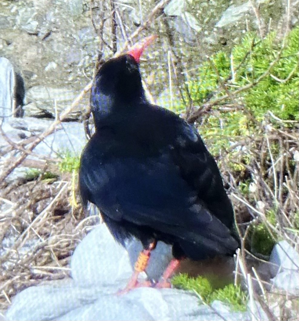 Sam Bayley tweet media