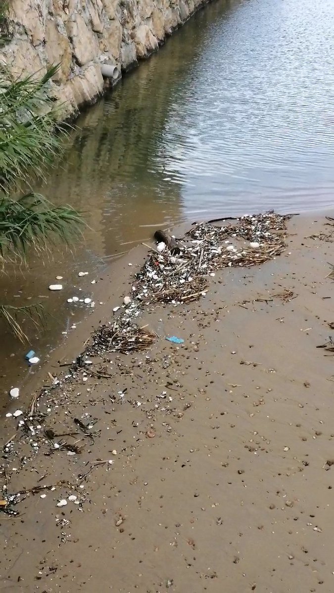 RogowiKing tweet media