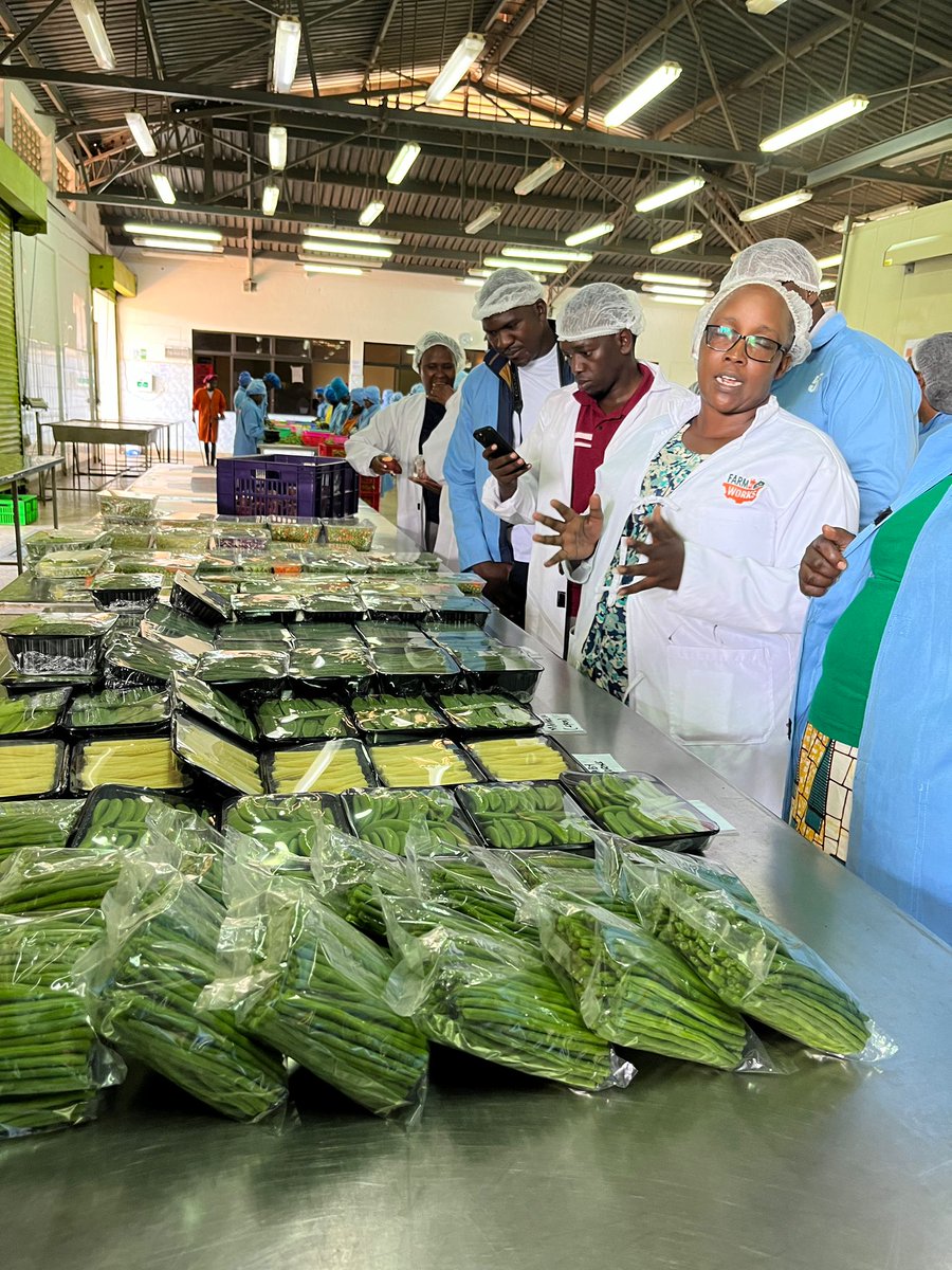 mercy_fz's tweet photo. What an incredible week at CGIAR's Food Systems Accelerator Pitch Day! Months of hard work, dedication, and amazing partners. We remain committed to supporting agri-entrepreneurs with the knowledge, expertise and financial resources they need to scale #CSA solutions. https://t.co/82ashrImz8