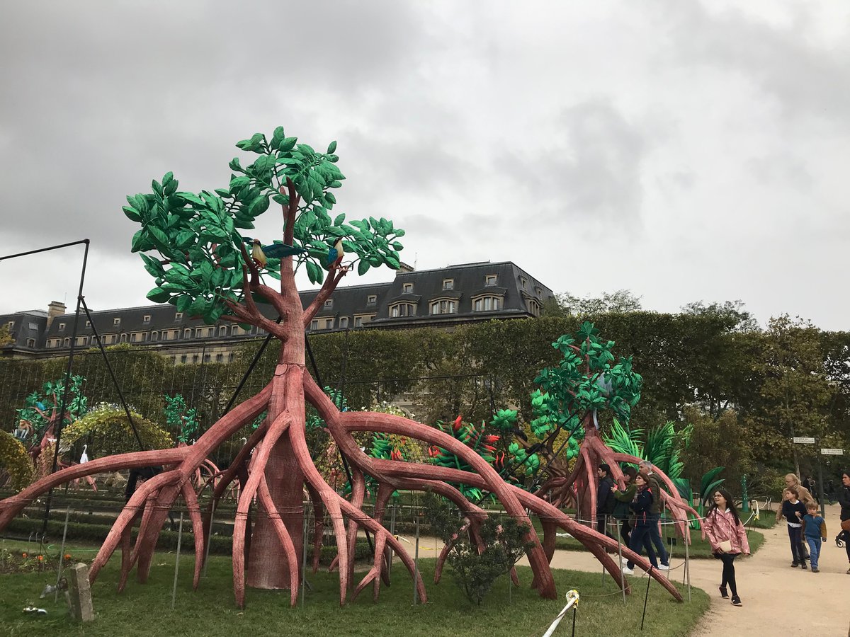 M_ecohydro's tweet photo. Mangroves in the center of Paris- people love them and take selfie with the mangroves. I felt emotional 🥲! (I swear is not me who put them there ;-)) https://t.co/gy1RG4uC9P