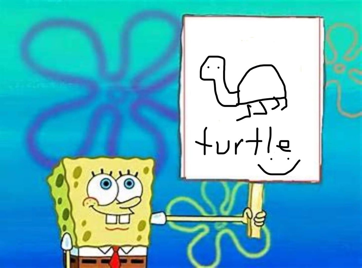 mpknife's tweet image. Turtle :)