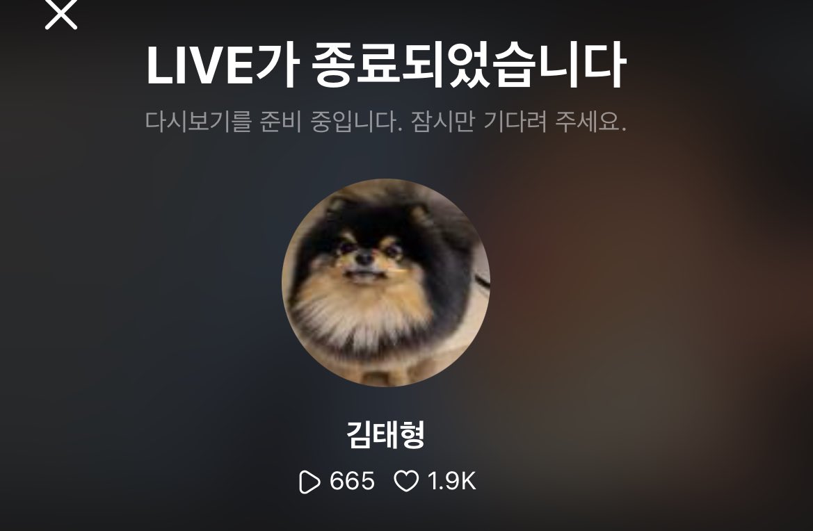 아니 나는 한 채널에서 라이브가 두 개 동시에 켜질 수 있다는 걸 방금 처음 알았음 아니근데그럼빠수니는어뜨카라고나는뭐어카라고그럼