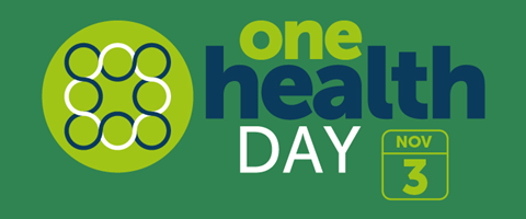 It’s #OneHealthDay and this 🧵 looks at some of the work we’ve been doing on a global scale. Overlap between humans, animals & our environment can create scenarios that increase the risk of diseases spreading. 🚶‍♂️🐑🌍