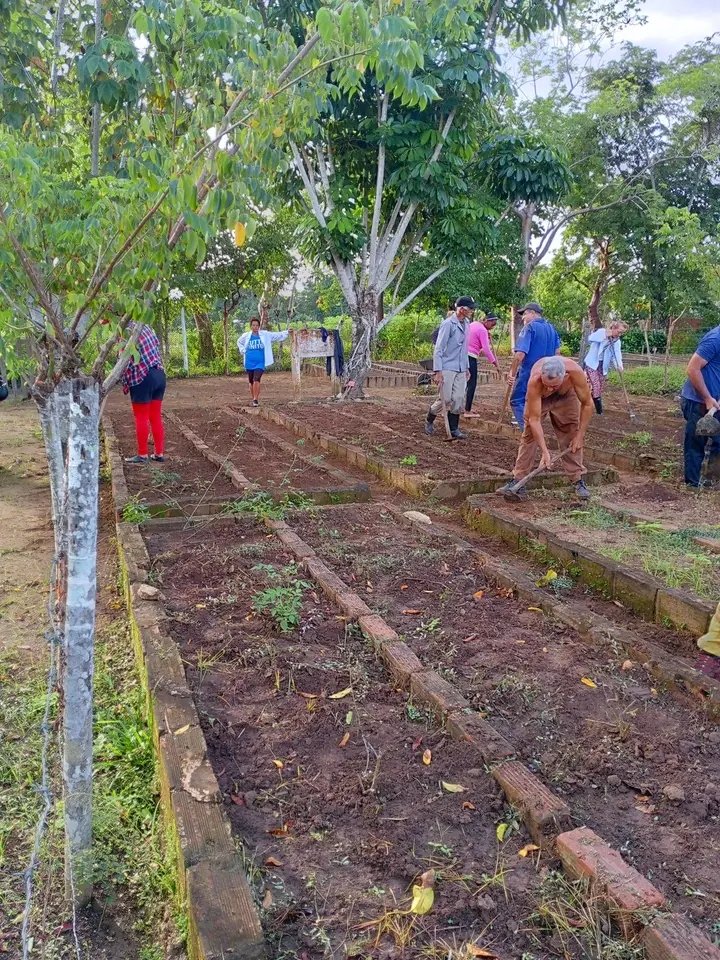 NiurkaMD73's tweet photo. En el Vivero la Gardenia de Comunales Mantua se realizan acciones para incrementar la producción de flores finas y convencionales. #Cuba #ComjnalesPorMas https://t.co/NRcS5Lueek