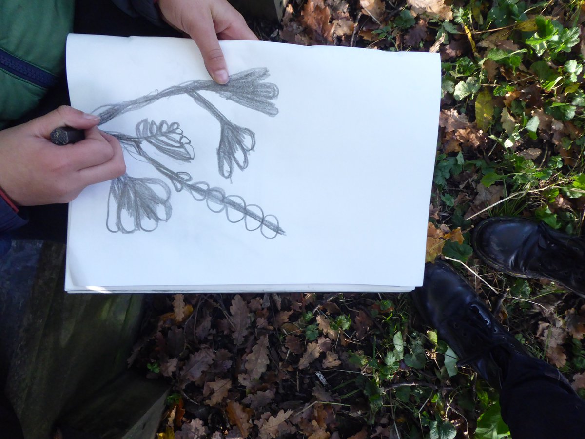 cochyn60's tweet image. Lovely to be back at the nature reserve today drawing @hirstwoodrg with 60 young artists from year 4 @spsprimary preparing for their #rainforest project #graphite #continuouslinedrawing