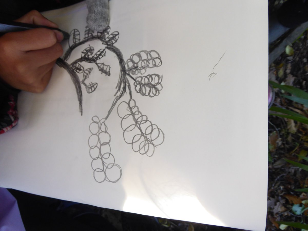 cochyn60's tweet image. Lovely to be back at the nature reserve today drawing @hirstwoodrg with 60 young artists from year 4 @spsprimary preparing for their #rainforest project #graphite #continuouslinedrawing