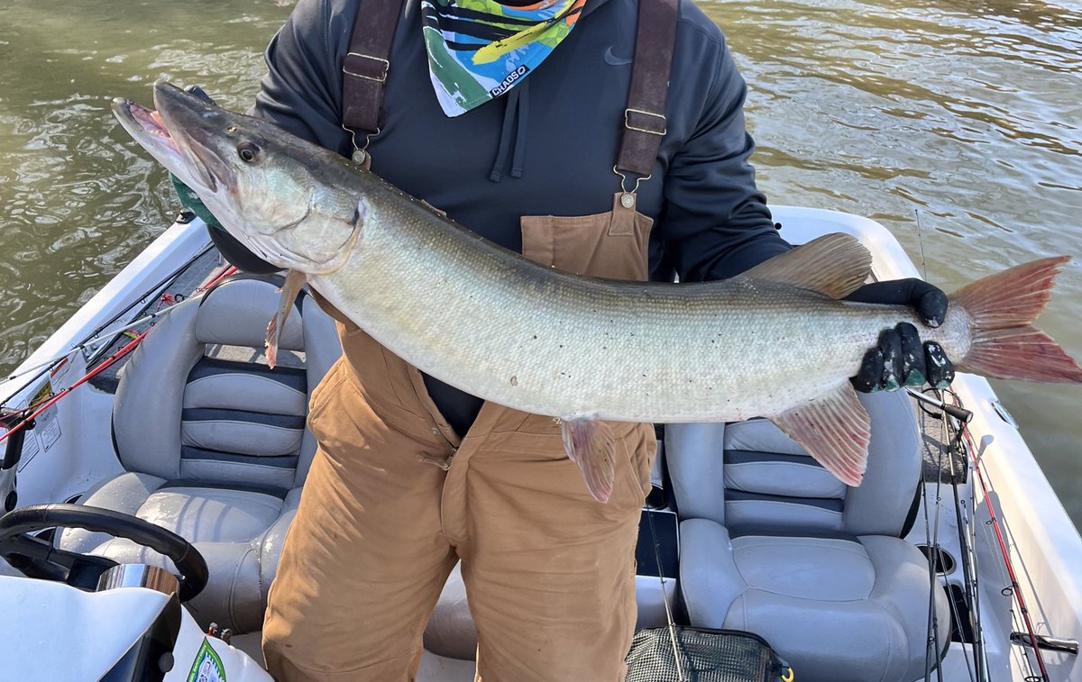 🏴‍☠️ tweet media