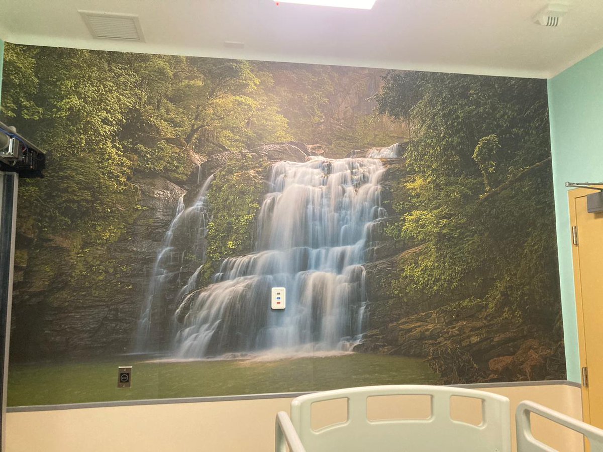 CCSSdeCostaRica's tweet photo. Colores y paisajes alegran la estancia de los pacientes de la Unidad de Cuidados Intensivos Quirúrgicos del hospital Calderón Guardia.

Acá más detalles: https://t.co/s8cKIRcAPy https://t.co/ocQJrp0oQt