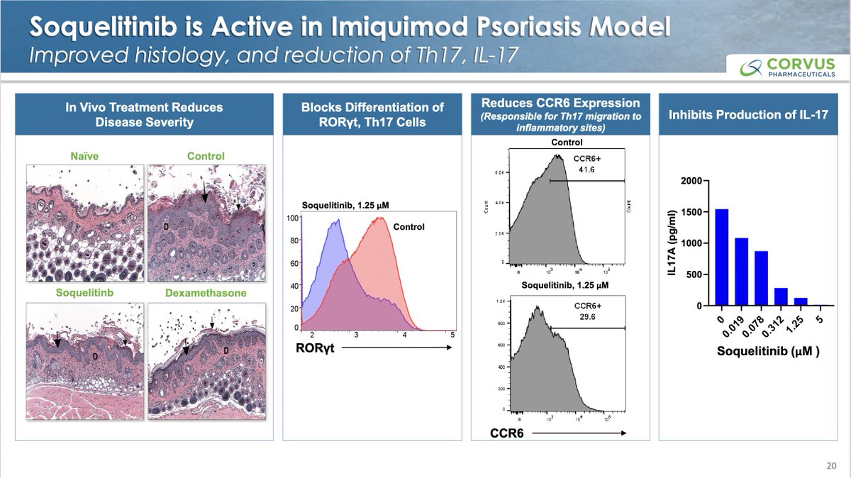$CRVS New slide presentation from Nov 1st.

Highlighting how ITKi by #soquelitinib can stop both Th2 and Th17 cells from forming upstream and affect numerous interleukins downstream.  This is completely novel MOA and approach to treating these #autoimmune diseases.