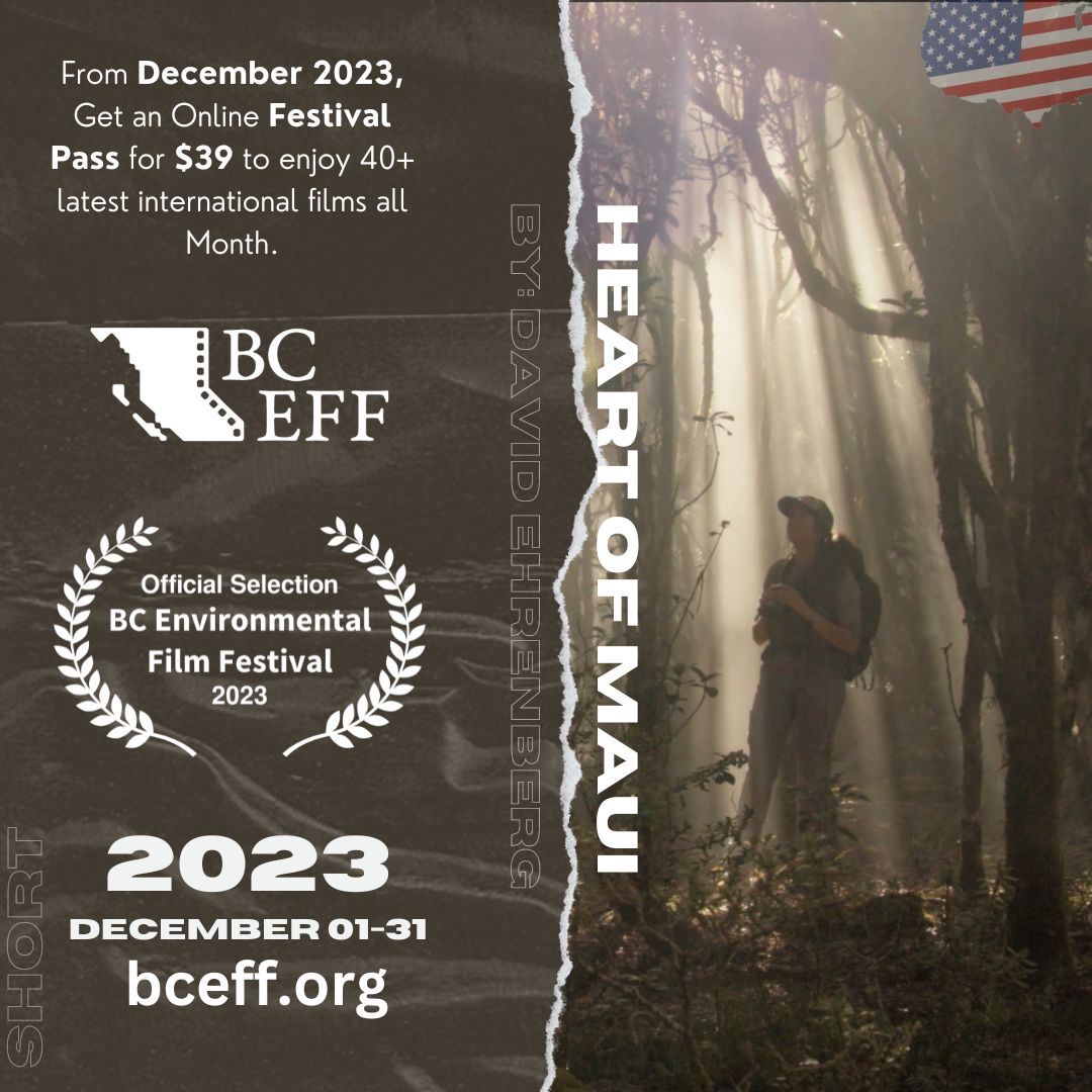 BCEFilmFestival's tweet photo. Only 200 of these magnificent Maui forest birds remain on our planet. 

Learn more and get your festival pass at https://t.co/HhCWKBNlca.

#BCEFF2023 #HeartOfMaui #EnvironmentalFilms #Filmmaking #SaveOurBirds #FilmFestival #JoinUs #SupportFilmmakers 🌟🌍📢 https://t.co/y5DyLzYAZ7