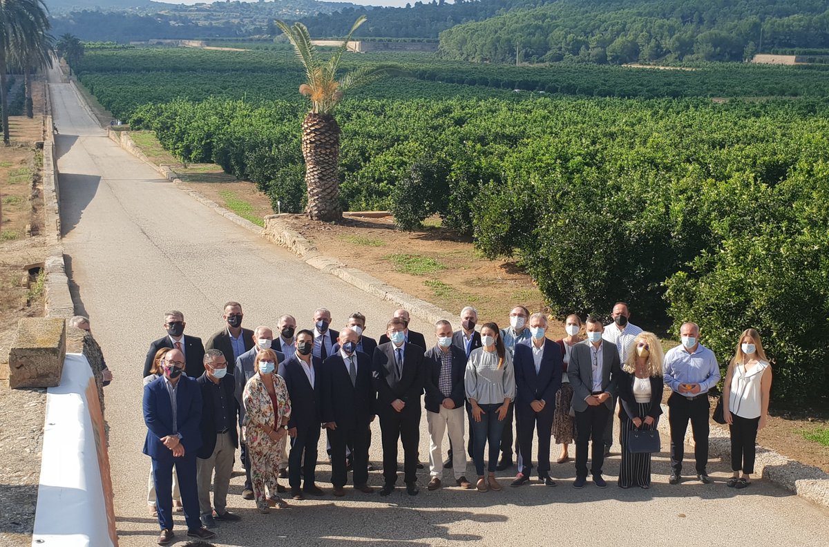 El próximo viernes celebramos el #PrimerCortedelaNaranja . En la finca del Realengo de la firma Cañamás Hnos. dentro el término de Rafelguaraf.