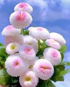 Overd (@overdsol) on Twitter photo #دعم_فارس_الفرسان
<a href="/_0M01_/">مزوون:🏡 Engمسافرة✈️</a>
@S______332
<a href="/asereh113566/">عسيريه</a>
<a href="/BafanaBdalshkwr/">عبدالشكور بافانا</a>
<a href="/bdalzyz18864450/">عبد العزيز ١</a>
<a href="/bdllhmmdbwmmd1/">أ-عبدالله محمد ابومحمد</a>
<a href="/bizbiz1msa/">محمد بن عقيل</a>
<a href="/C6W57NA7UcxHMOa/">علي محمد</a>
<a href="/hnylylswdy43616/">هاني علي السوادي</a>
@j_lak99
<a href="/l___h884195/">علي جارالله</a>
<a href="/lylsnydy699647/">علي السنيدي</a>
@mateaa_aklak
@RAlrsaby15962
<a href="/rymas5588/">ريماس مبن</a>
<a href="/12ttrrR/">ريم القحطاني 🇸🇦✨</a>
@A_mohmdz
<a href="/1____1s/">𝘚⃨⃰𝘢⃨⃰𝘧⃨⃰𝘸⃨⃰𝘢⃨⃰𝘯⃨⃰صفوان❤️</a>
<a href="/1s__3s/">Ledger Hardware Support</a> #دعم_فارس_الفرسان
<a href="/_0M01_/">مزوون:🏡 Engمسافرة✈️</a>
@S______332
<a href="/asereh113566/">عسيريه</a>
<a href="/BafanaBdalshkwr/">عبدالشكور بافانا</a>
<a href="/bdalzyz18864450/">عبد العزيز ١</a>
<a href="/bdllhmmdbwmmd1/">أ-عبدالله محمد ابومحمد</a>
<a href="/bizbiz1msa/">محمد بن عقيل</a>
<a href="/C6W57NA7UcxHMOa/">علي محمد</a>
<a href="/hnylylswdy43616/">هاني علي السوادي</a>
@j_lak99
<a href="/l___h884195/">علي جارالله</a>
<a href="/lylsnydy699647/">علي السنيدي</a>
@mateaa_aklak
@RAlrsaby15962
<a href="/rymas5588/">ريماس مبن</a>
<a href="/12ttrrR/">ريم القحطاني 🇸🇦✨</a>
@A_mohmdz
<a href="/1____1s/">𝘚⃨⃰𝘢⃨⃰𝘧⃨⃰𝘸⃨⃰𝘢⃨⃰𝘯⃨⃰صفوان❤️</a>
<a href="/1s__3s/">Ledger Hardware Support</a>