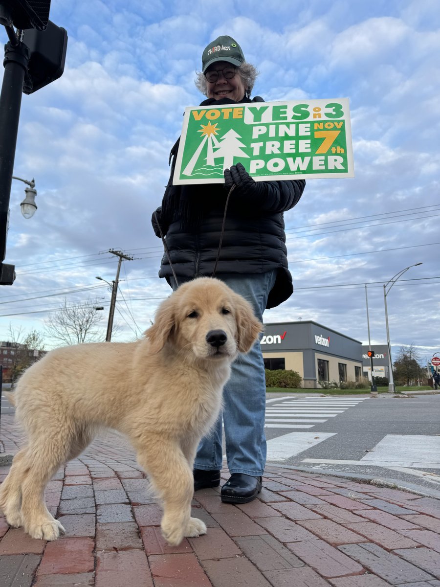 Good vibes from our volunteers on Franklin Street! We’re grateful for the everyday Mainers like Nancy (& Henry! 🐶) who stand w/ us for reliable, affordable, locally-controlled power! Want to get out the vote with us? Take action now: loom.ly/SabPhA8 Vote #YesOn3🌲💡