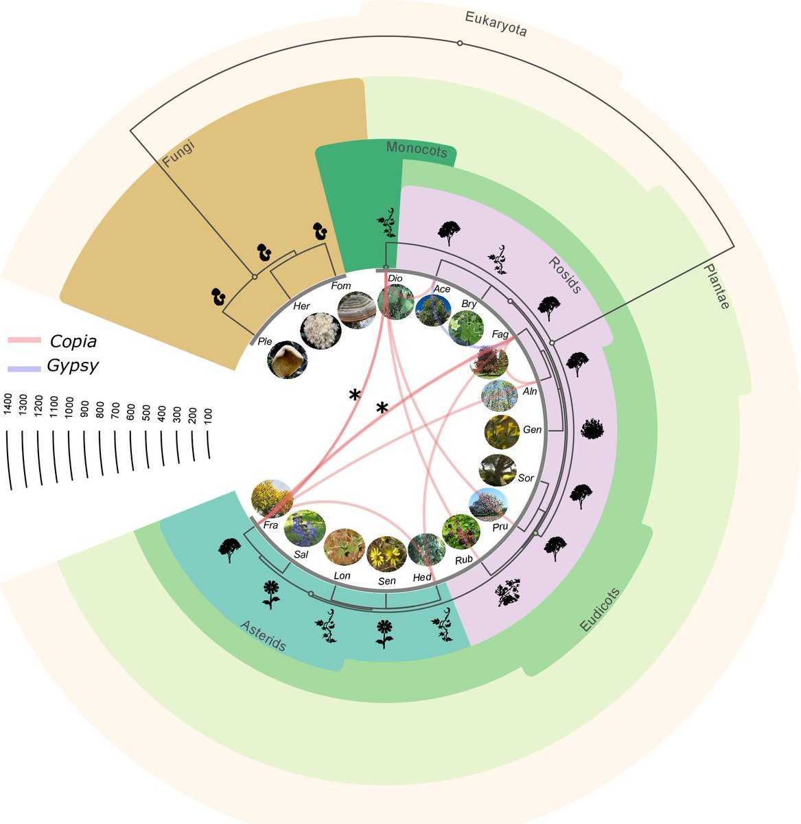 "Genome-wide analysis of horizontal transfer in non-model wild species from a natural ecosystem reveals new insights into genetic exchange in plants" 🔎 plos.io/478XeOX