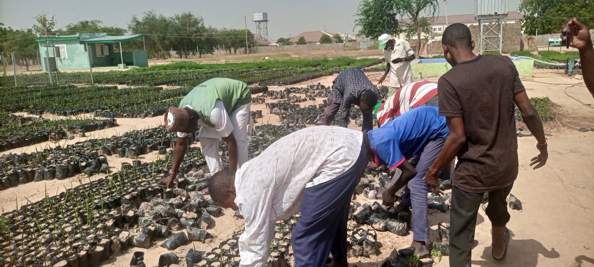 gerinitiative's tweet photo. Al-Muhajirun Humanitarian Development Association of Nigeria  received ten thousand seedlings of different species from GERI as part of a campaign to control the effects of climate change, under the leadership of His Excellency Prof. Engr. Babagana Umara Zulum MNI, FNSE, CON. https://t.co/g5IoMsWQk7
