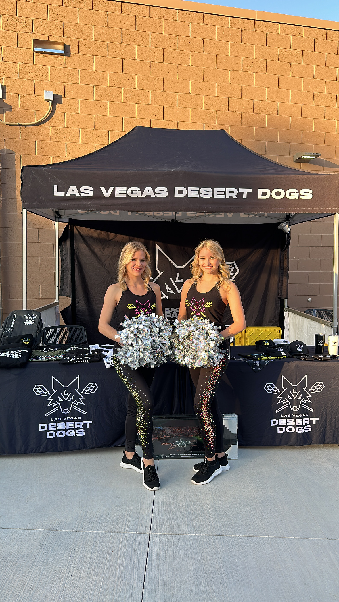 About  Las Vegas Desert Dogs