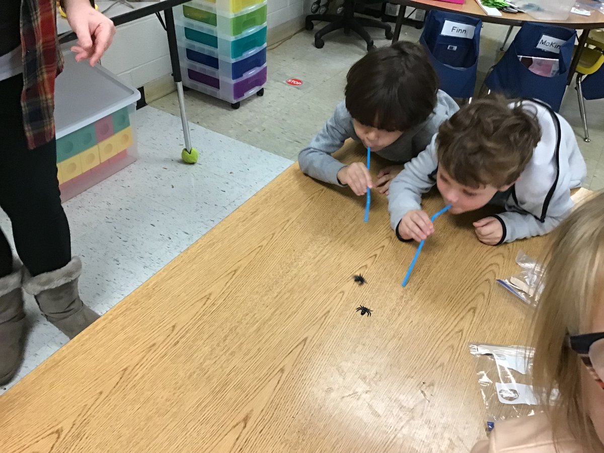 K_Ebbers_Explorers tweet media