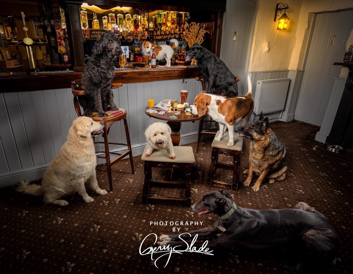 A little while ago I was commissioned by the fabulous dog friendly pub, @wheatsheafhowden to take a picture of some of their regular four legged customers having a night out with @boothebastardbeagle It was huge fun to do, the resulting 36” framed print looks STUNNING and