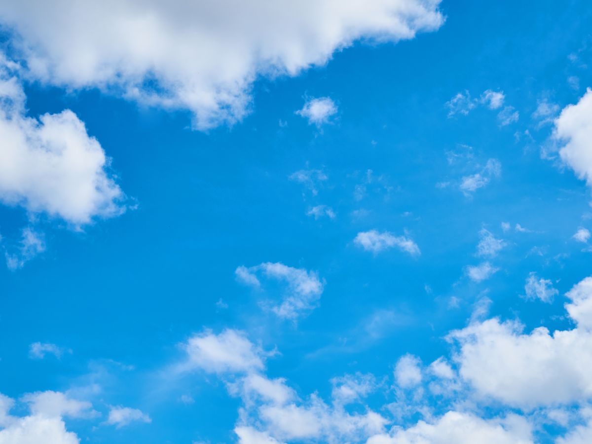 Sabishi1985's tweet photo. Braucht noch jemand nen Einladungscode für den blauen Himmel? 

Der @BeornSoftpaw hätte noch welche! ^w^/ https://t.co/hx5HKIA9vE