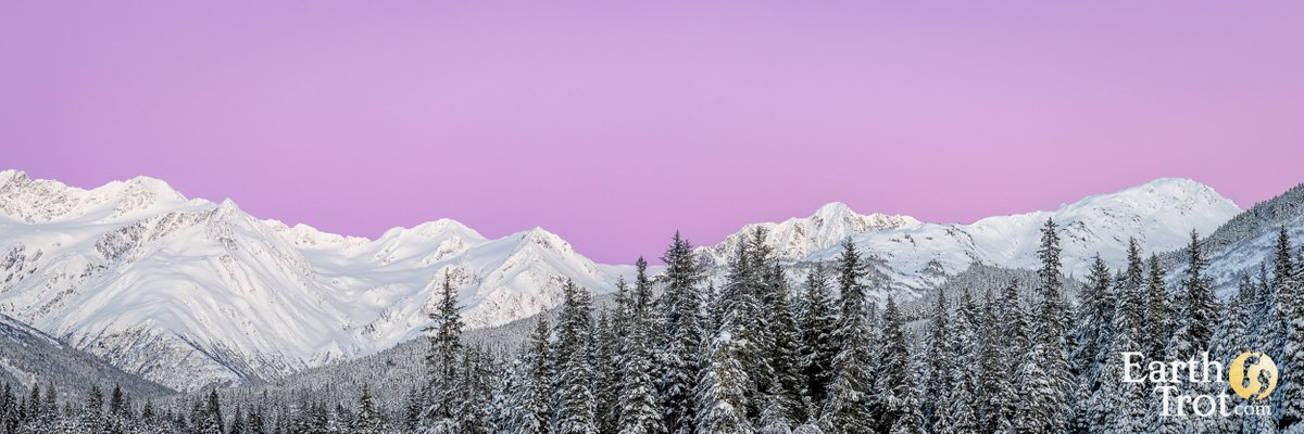 Mike Neubauer tweet media